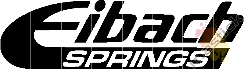 Eibach Springs